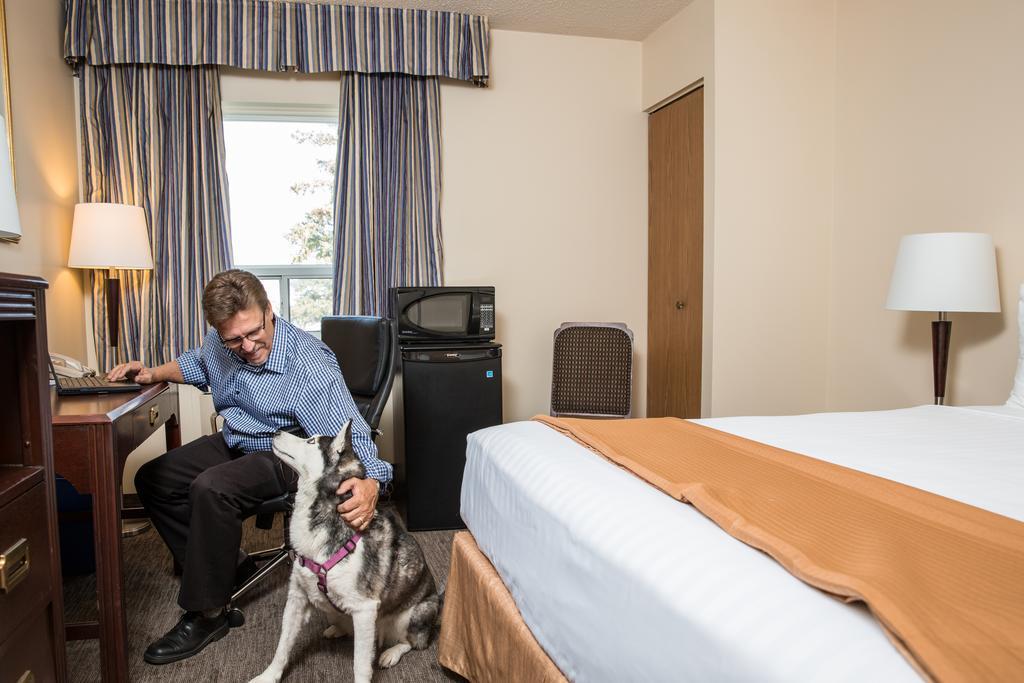 Standard Double Room with Two Double Beds - Non-Smoking - Pet Friendly