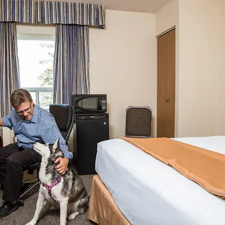 Travelodge By Wyndham Edmonton South-3